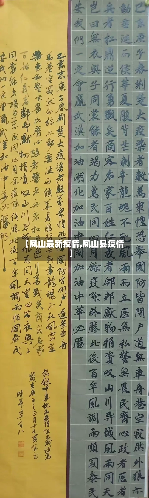 【凤山最新疫情,凤山县疫情】