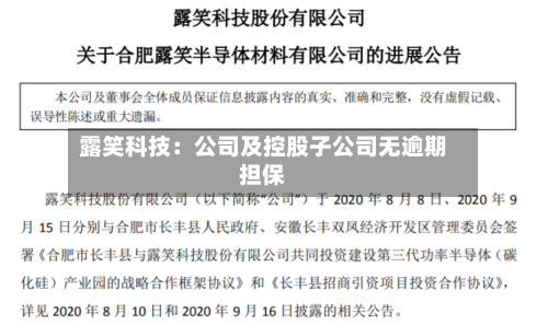 露笑科技：公司及控股子公司无逾期担保