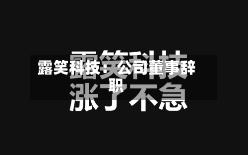露笑科技：公司董事辞职