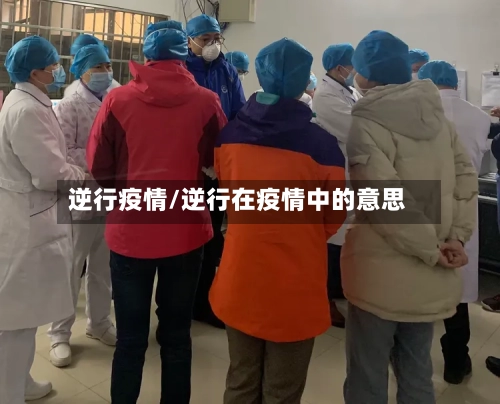 逆行疫情/逆行在疫情中的意思