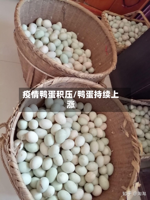 疫情鸭蛋积压/鸭蛋持续上涨