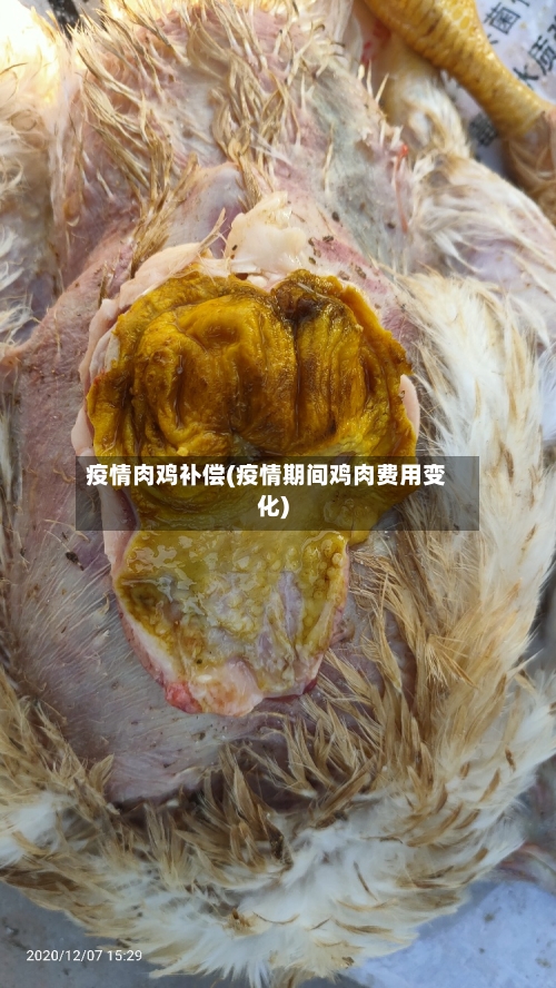 疫情肉鸡补偿(疫情期间鸡肉费用变化)