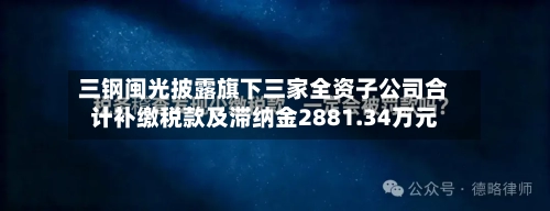 三钢闽光披露旗下三家全资子公司合计补缴税款及滞纳金2881.34万元