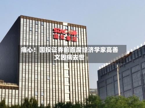 痛心!国投证券前首席经济学家高善文因病去世