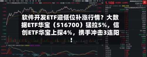 软件开发ETF迎低位补涨行情?大数据ETF华宝(516700)猛拉5%,信创ETF华宝上探4%,携手冲击3连阳!