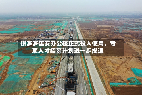 拼多多雄安办公楼正式投入使用,专项人才招募计划进一步提速